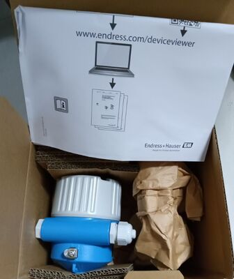 E+H FTL64 Point Level Switch for High-temperature Applications with 316L Alloy and 6 m Sensor Length